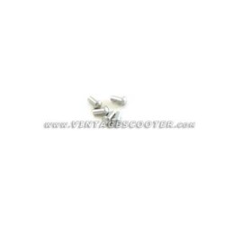 Jeu de 5 rivets a mater 2x4mm pour plaque des mines 